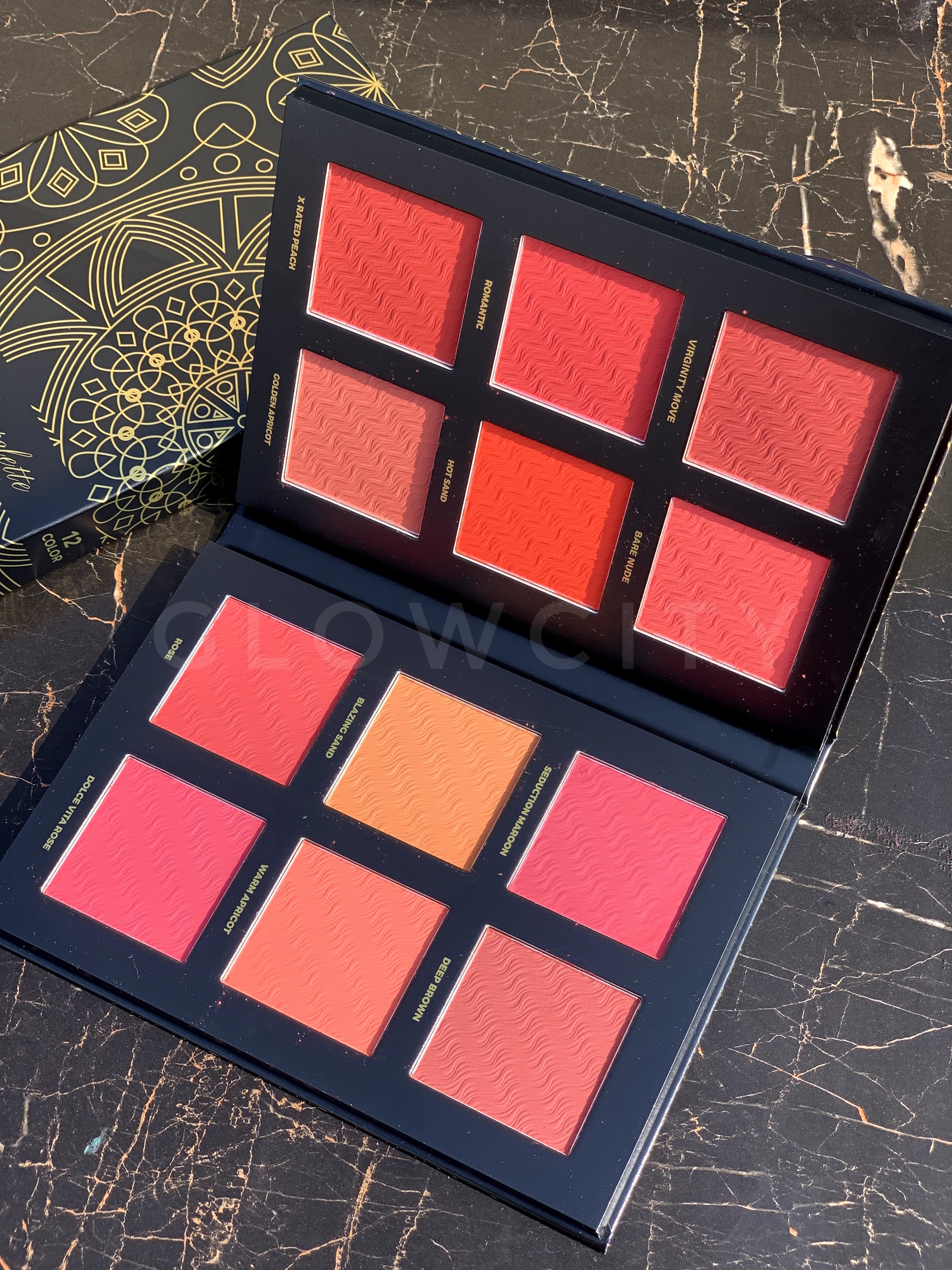 CVB 12-in-1 Blush Palette – Matte, Soft & Light Shades | Premium Gold & Black Box - for All Skin Types