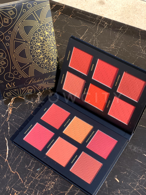 CVB 12-in-1 Blush Palette – Matte, Soft & Light Shades | Premium Gold & Black Box - for All Skin Types